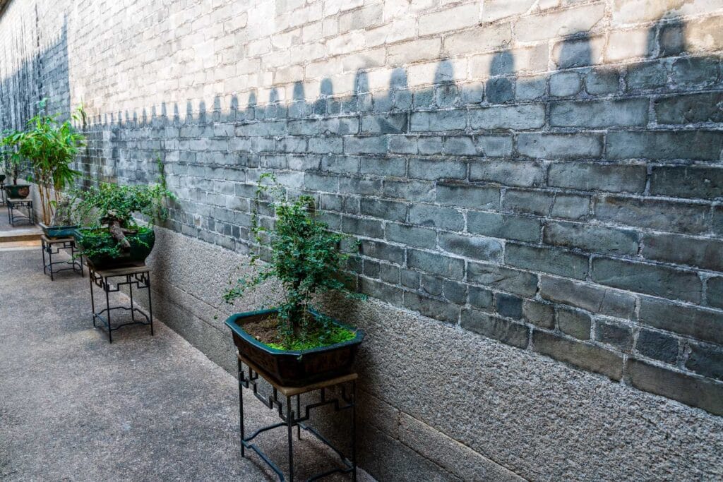 Soil Structural Interaction Services Retaining Wall potted-plants-wall