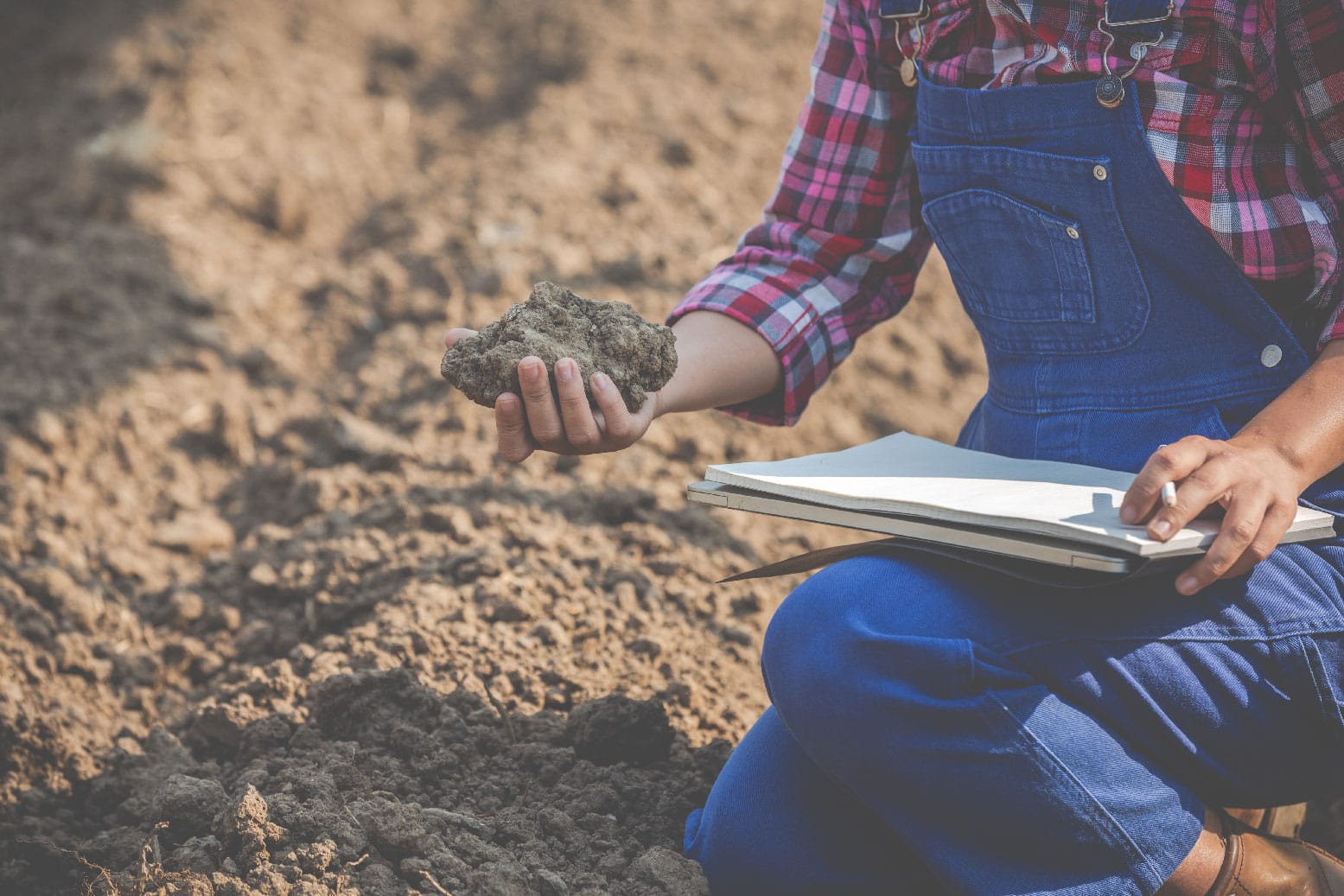 Soil Structural Interaction Services women-farmers-are-researching-soil